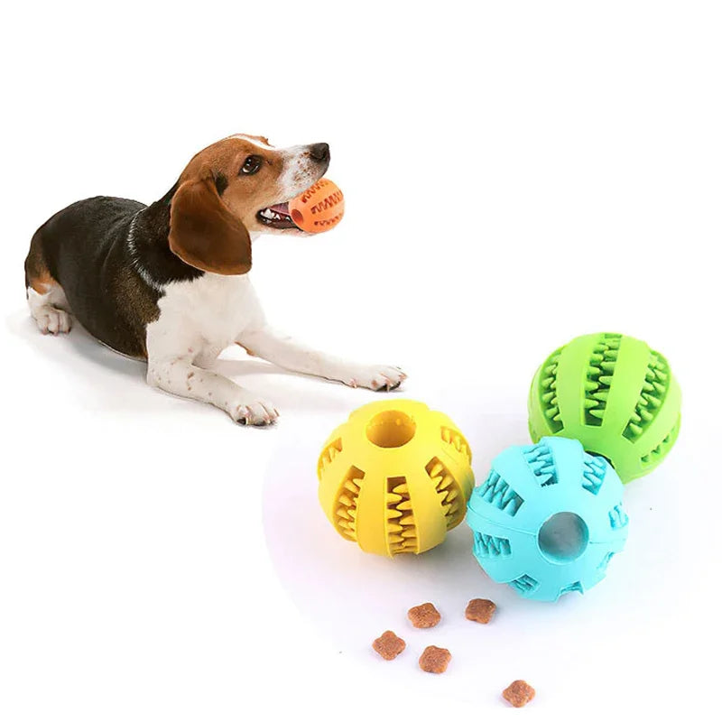 BiteBuster Chew Ball